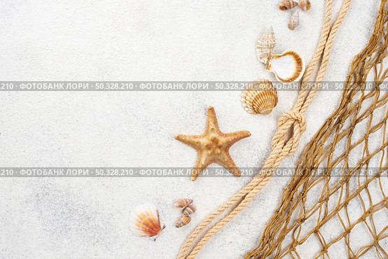 shellfish with net. High resolution photo. shellfish with net. Стоковое фото, агентство Ingram Publishing / Фотобанк Лори