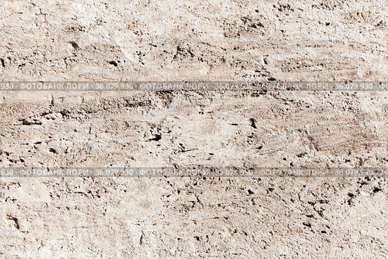 Shelly limestone panel, seamless texture. Стоковое фото, фотограф EugeneSergeev / Фотобанк Лори