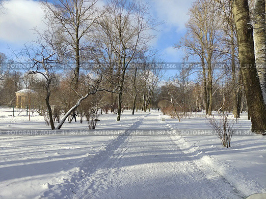 Широкая алея в Екатерингофском парке зимой. Санкт-Петербург (2023 год). Стоковое фото, фотограф Жигалов Евгений Павлович / Фотобанк Лори