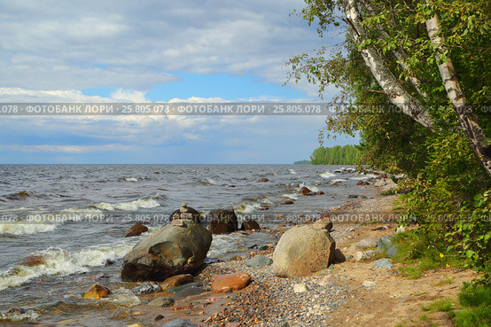 Shore of Onega lake in Karelia. Стоковое фото, фотограф Михаил Коханчиков / Фотобанк Лори