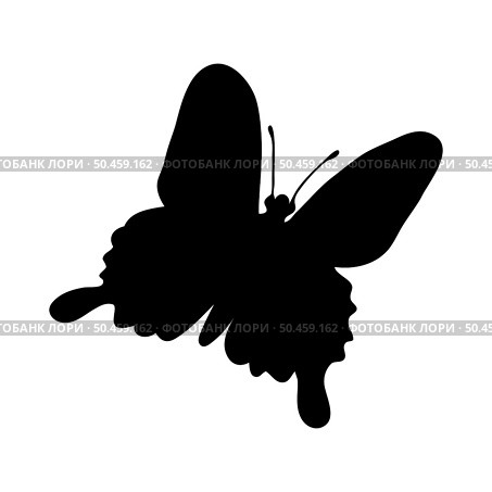 Silhouette of butterfly. Butterfly close-up detailed. Vector butterfly icon on white background. Стоковая иллюстрация, агентство Ingram Publishing / Фотобанк Лори