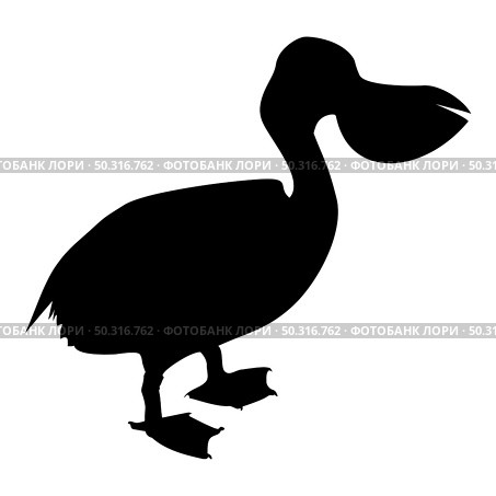 Silhouette pelican bird seabird waterbird black color vector illustration flat style simple image. Silhouette pelican bird seabird waterbird black color vector illustration flat style image. Стоковая иллюстрация, агентство Ingram Publishing / Фотобанк Лори