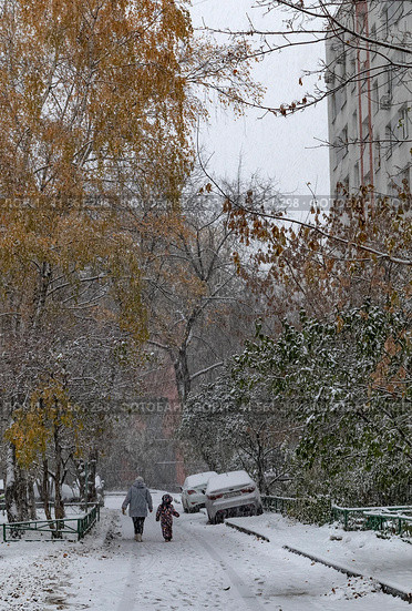 Сильный снегопад в городе осенью в конце октября. Снег укутал деревья с еще пышной зеленой и желтой листвой. Женщина с ребенком идут по двору (2023 год). Редакционное фото, фотограф Наталья Николаева / Фотобанк Лори