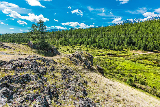 Скальные выходы у реки Куркурек и озера Джангысколь в предгорье Северо-Чуйского хребта. Урочище Ештыкель, Кош-Агачский район горного Алтая. Стоковое фото, фотограф Евгений Мухортов / Фотобанк Лори