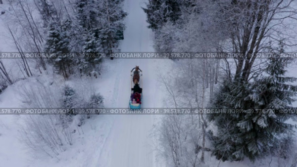 sleigh ride through the forest in winter. Стоковое видео, видеограф Николай Титюк / Фотобанк Лори