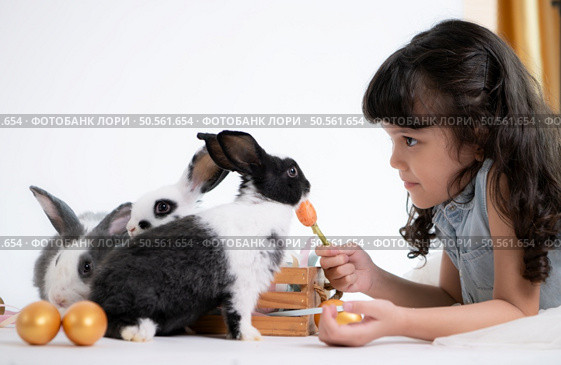 Smiling little girl and with their beloved fluffy rabbit, showcasing the beauty of friendship between humans and animals. Стоковое фото, агентство Ingram Publishing / Фотобанк Лори