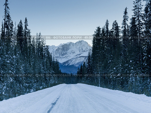 Snow covered road with mountains in winter, Emerald Lake, Yoho National Park, British Columbia, Canada. Стоковое фото, агентство Ingram Publishing / Фотобанк Лори