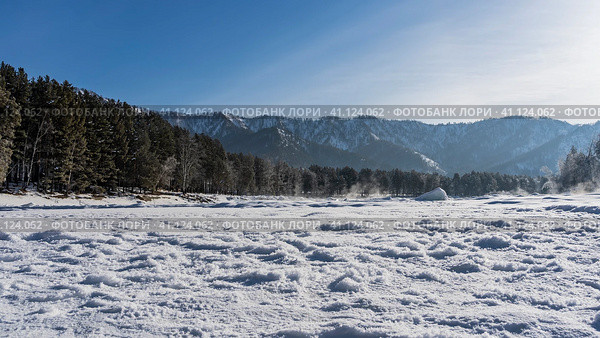 Snow is trampled in the valley. In the distance, steam rises above the ice-free river. Taiga coniferous forest and mountain range against the blue sky. Altai. Стоковое фото, фотограф Вера Ивановна Кубарева / Фотобанк Лори