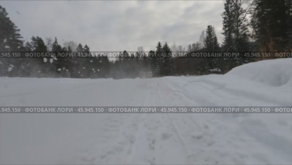Собачья упряжка в зимнем лесу (Хаски) Стоковое видео, видеограф Степан Столбовский / Фотобанк Лори