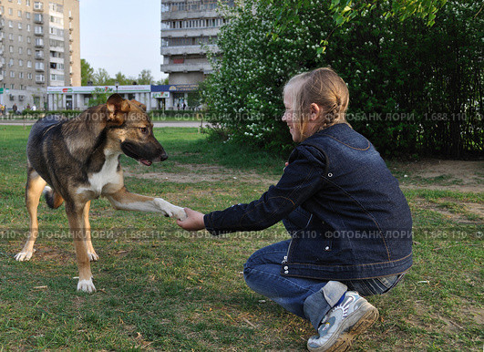 Собака дает лапу девочке (2010 год). Редакционное фото, фотограф Павлова Елена / Фотобанк Лори