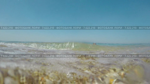 Собака породы Джек Рассел плавает в море. Стоковое видео, видеограф Denis Mishchenko / Фотобанк Лори