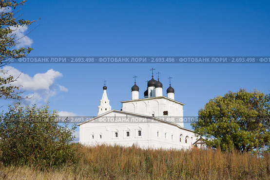 Собор Рождества Богородицы в Анастасовом монастыре, Тульская область (2009 год). Стоковое фото, фотограф Солодовникова Елена / Фотобанк Лори