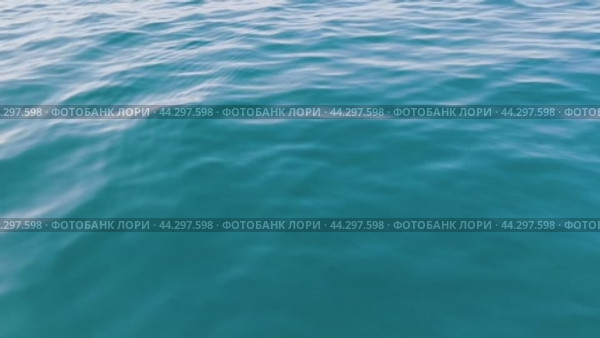 Сочи. Прогулка на катере. открытое море. дельфины (2024 год). Стоковое видео, видеограф Сергей Татаринцев / Фотобанк Лори