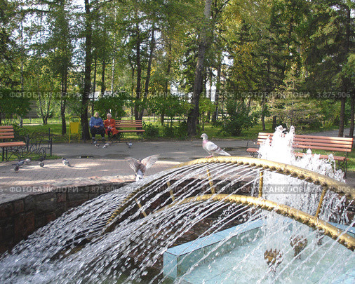 Солнечный день в парке (2012 год). Редакционное фото, фотограф Елена Семенюк / Фотобанк Лори