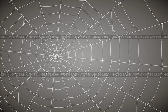 Сoncentric white web on a gray background. Стоковая иллюстрация, иллюстратор Vladislav_v / Фотобанк Лори