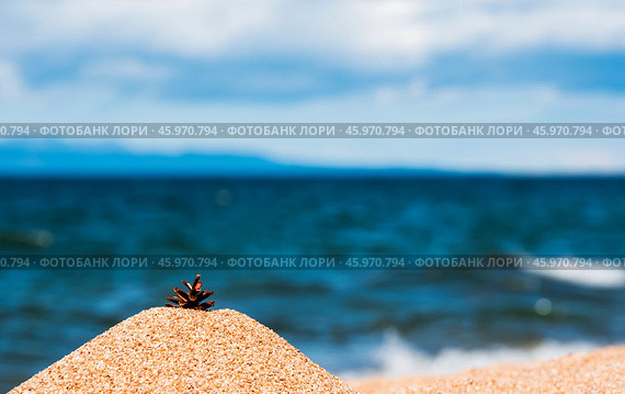 Сосновая шишка на пляже в песке на фоне синего моря и неба. Стоковое фото, фотограф Алексей / Фотобанк Лори