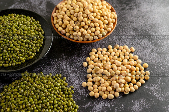 Soybean and Mung bean on a black cement floor background. Стоковое фото, агентство Ingram Publishing / Фотобанк Лори