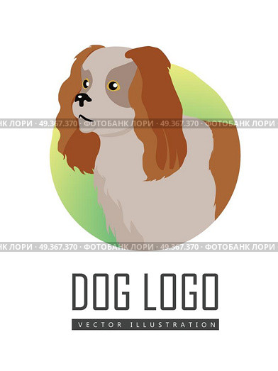 Spaniel Dog Logo on White Background. Brown and white spaniel dog, round logo on white background. Dog icon. Vector illustration in flat style. English cocker spaniel design. Cartoon dog character, pet animal. Стоковая иллюстрация, агентство Ingram Publishing / Фотобанк Лори