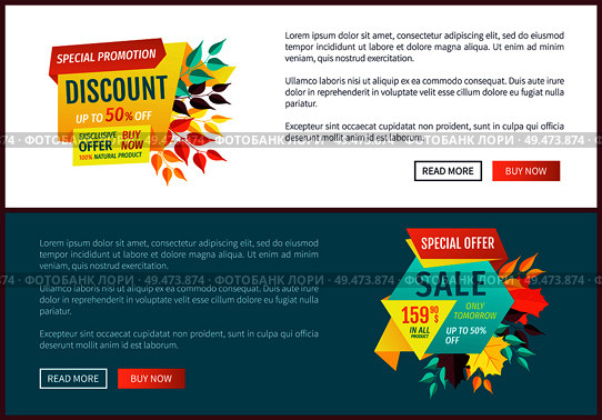 Special promotion discount posters set with text sample. Autumn proposition offer on natural products. Buy now only tomorrow half reduction vector. Special Promotion Discount Set Vector Illustration. Стоковая иллюстрация, агентство Ingram Publishing / Фотобанк Лори