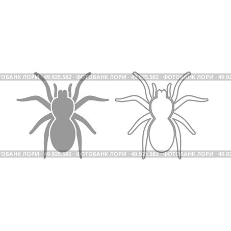 Spider or tarantula icon. Grey set .. Spider or tarantula icon. It is grey set . Стоковая иллюстрация, агентство Ingram Publishing / Фотобанк Лори
