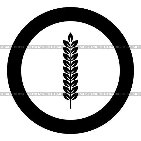 Spikelet of wheat Plant branch icon in circle round black color vector illustration flat style simple image. Spikelet of wheat Plant branch icon in circle round black color vector illustration flat style image. Стоковая иллюстрация, агентство Ingram Publishing / Фотобанк Лори