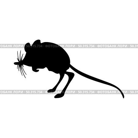 Spiny pocket mice silhouette. Smooth and clean lines. High detailed Spiny pocket mice silhouette. Vector Illustration.. rodents silhouettes. Стоковая иллюстрация, агентство Ingram Publishing / Фотобанк Лори