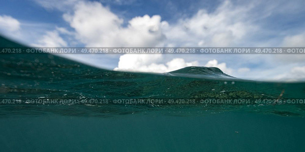 Split shot of underwater and sky, Turneffe Atoll, Belize Barrier Reef, Belize. Стоковое фото, агентство Ingram Publishing / Фотобанк Лори