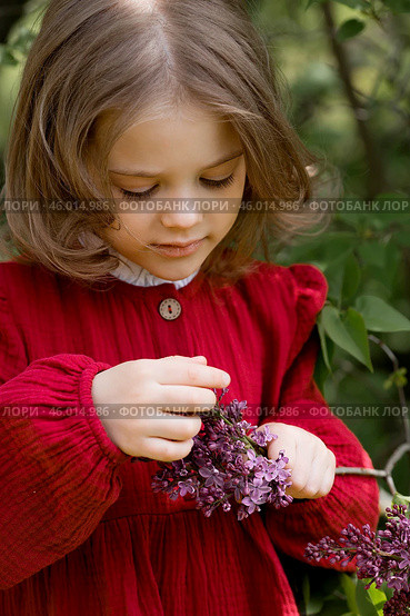 Spring blooming. Portrait of a beautiful 5-year-old little girl in a red dress in a lilac garden in nature. Childhood. Стоковое фото, фотограф Photojuli / Фотобанк Лори