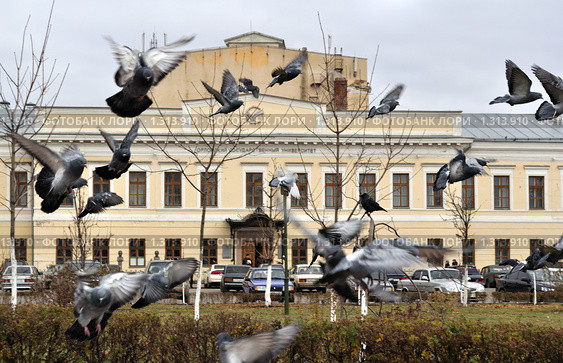Стая голубей взлетает на фоне университета в Орле (2009 год). Стоковое фото, фотограф Ромашка / Фотобанк Лори