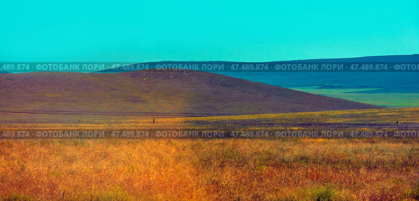 Steppe landscape with rolling hills. The foreground is occupied by thick, dry grass of warm shades - from ochre-yellow to reddish-brown. In the background is a gentle hill with a rocky top and wide shadows from it, and further on is another row of hills stretching beyond the horizon. The sky is bright, clear, with a light turquoise haze, emphasizing the boundless breadth of the steppes. The atmosphere is calm, spacious and lightly heated. Стоковое фото, фотограф Анна Кривицкая / Фотобанк Лори