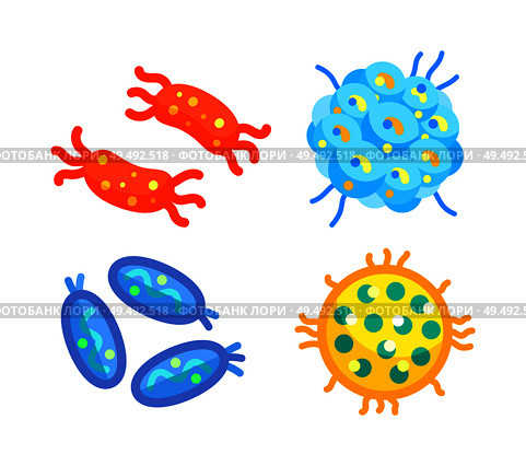 Streptococci and staphylococcus, spirillae and star-shaped flat bacteria types isolated. Little dangerous germ variety cartoon vector illustrations. Little Dangerous Bacteria for Illustrative Poster. Стоковая иллюстрация, агентство Ingram Publishing / Фотобанк Лори