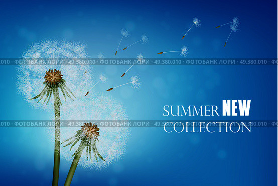 Summer poster with wither dandelion and flying seeds on blue sky background realistic vector illustration  . Realistic Wither Dandelion With Flying Seeds. Стоковая иллюстрация, агентство Ingram Publishing / Фотобанк Лори
