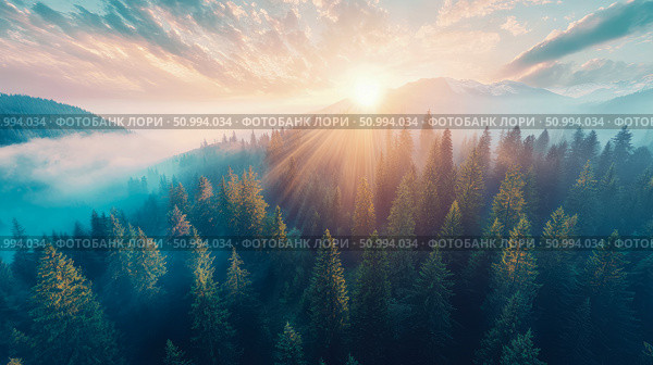 Sunrise over Misty Mountain Forest: An Aerial View of Sunbeams through Evergreens. Стоковое AI-изображение, AI-художник Данила Большаков / Фотобанк Лори