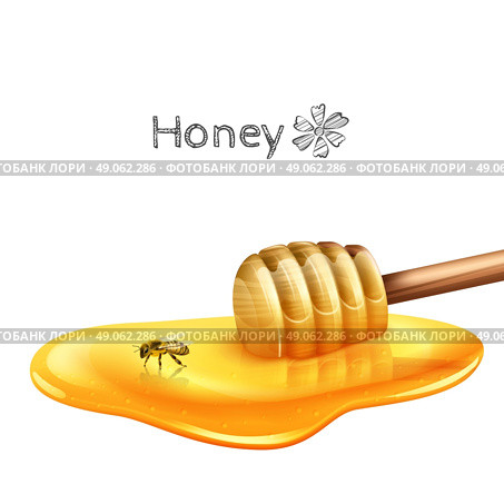 Sweet honey puddle with stick and bee realistic vector illustration. Honey Puddle With Stick. Стоковая иллюстрация, агентство Ingram Publishing / Фотобанк Лори