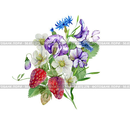 sweet peas and cornflowers flowers in a bouquet with ripe strawberries, buds and foliage, watercolor. Стоковая иллюстрация, иллюстратор Екатерина Тимонова / Фотобанк Лори