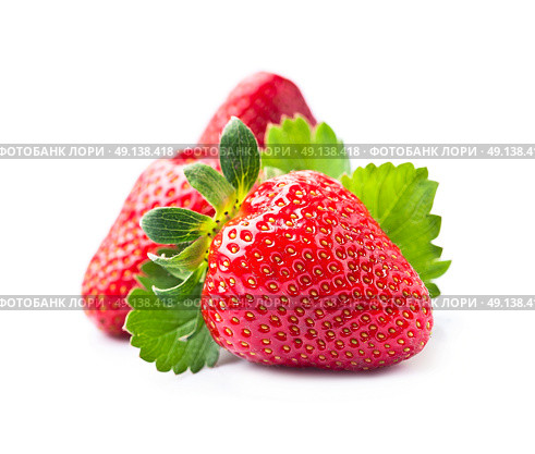 Sweet strawberry with leaves. Стоковое фото, фотограф Волошина Мария Ивановна / Фотобанк Лори