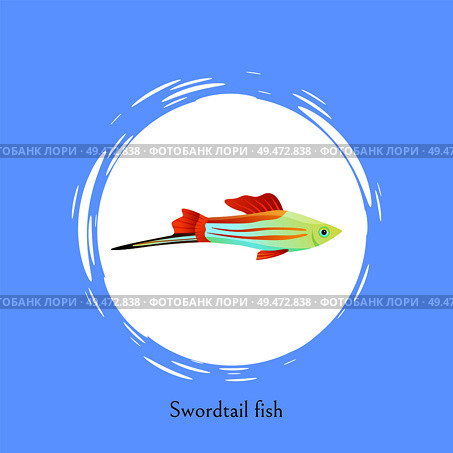 Swordtail fish in white circle isolated on blue. Freshwater aquarium fish silhouette icon on double color background cartoon vector illustration.. Swordtail Fish in White Circle Isolated on Blue. Стоковая иллюстрация, агентство Ingram Publishing / Фотобанк Лори