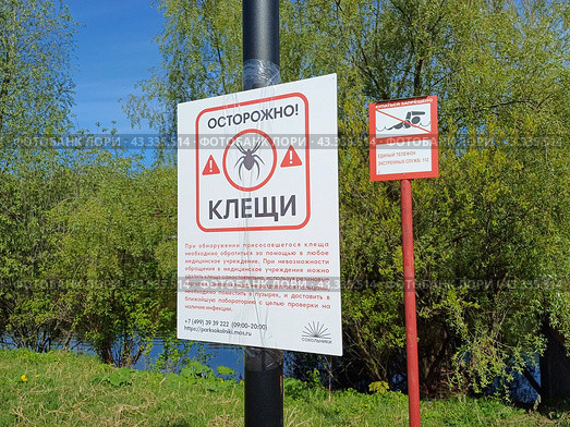 Табличка "Осторожно! Клещи! на берегу Бабаевского пруда. Природный парк "Лосиный остров". Район Гольяново. Москва (2024 год). Редакционное фото, фотограф lana1501 / Фотобанк Лори
