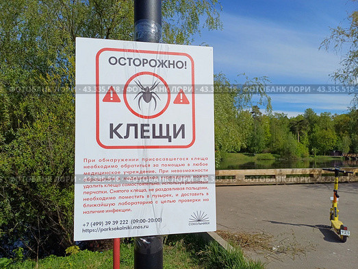 Табличка "Осторожно! Клещи! на берегу Бабаевского пруда. Природный парк "Лосиный остров". Район Гольяново. Москва (2024 год). Редакционное фото, фотограф lana1501 / Фотобанк Лори