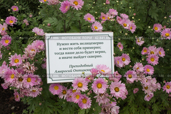 Табличка с цитатой из поучений преподобного Амвросия Оптинского среди цветов у храма Серафима Саровского в Раево. Москва (2023 год). Редакционное фото, фотограф Елена Орлова / Фотобанк Лори
