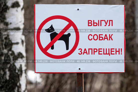 Табличка "Выгул собак запрещен" Стоковое фото, фотограф Лариса Гордеева / Фотобанк Лори