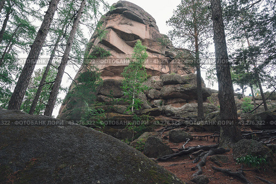 Taiga forest and rocks of the Stolby nature reserve park. Стоковое фото, фотограф Jan Jack Russo Media / Фотобанк Лори