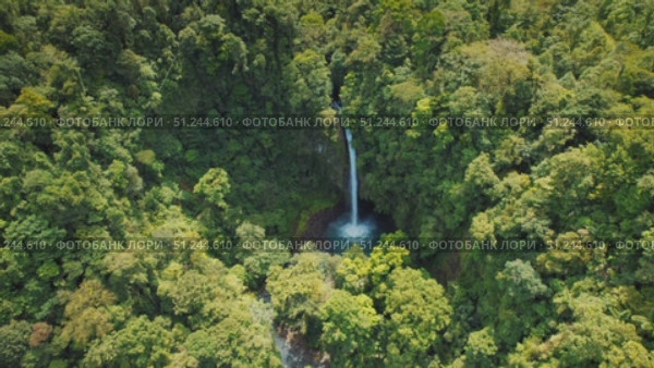 Tall secluded waterfall cascades through dense tropical jungle in Costa Rica. Стоковое видео, видеограф Igor Tichonow / Фотобанк Лори