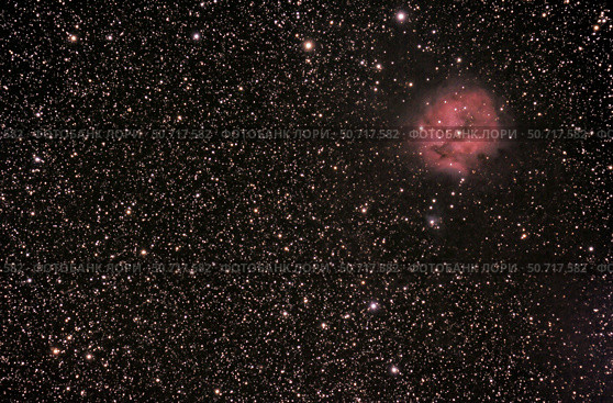 The Cocoon Nebula Phillip Jones/Stocktrek Images. Стоковое фото, агентство ТАСС / Фотобанк Лори