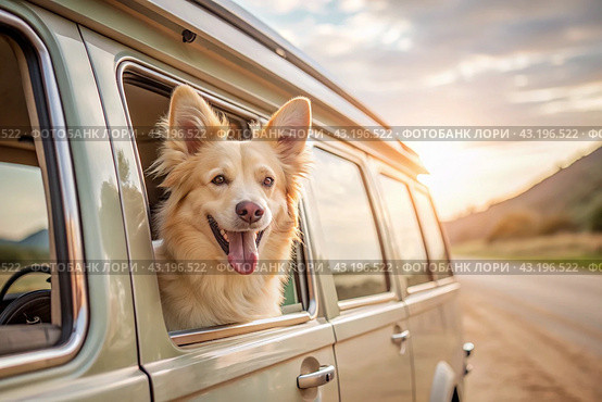 The concept of traveling with animals. A dog sticks its head out of the window of a car, a tourist van during a trip on a hot sunny day. Стоковое AI-изображение, AI-художник Photojuli / Фотобанк Лори