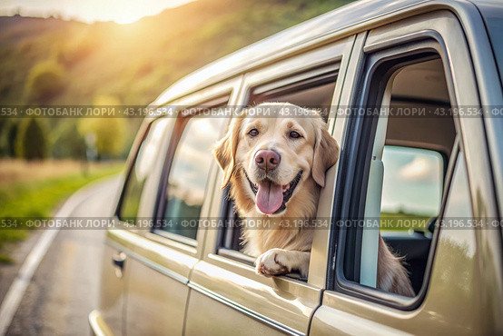 The concept of traveling with animals. A dog sticks its head out of the window of a car, a tourist van during a trip on a hot sunny day. Стоковое AI-изображение, AI-художник Photojuli / Фотобанк Лори