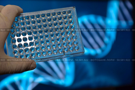 The DNA testing. Photo well plates at a scientific background. Стоковое фото, агентство Ingram Publishing / Фотобанк Лори
