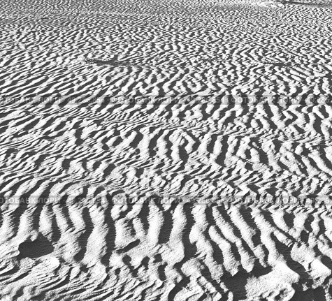 the empty quarter  and outdoor  sand  dune in oman old desert rub al khali . Стоковое фото, агентство Ingram Publishing / Фотобанк Лори