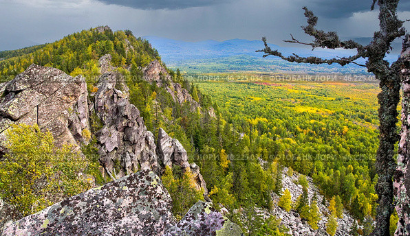 the endless Ural Taiga among the mountains and ridges on a summer day. Стоковое фото, фотограф Акиньшин Владимир / Фотобанк Лори