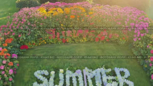 The garden is filled with a diverse array of flowers, showcasing a variety of natural beauty. Стоковое AI-видео, аниматор Юрий Поздников / Фотобанк Лори